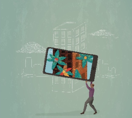 Redwood Design Illustration-Mobile
